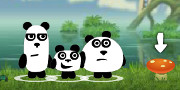 3 Pandas in Fantasy game