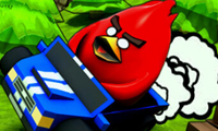 Poultry ACE Downhill game