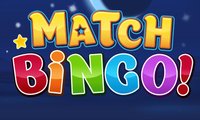 Match Bingo game